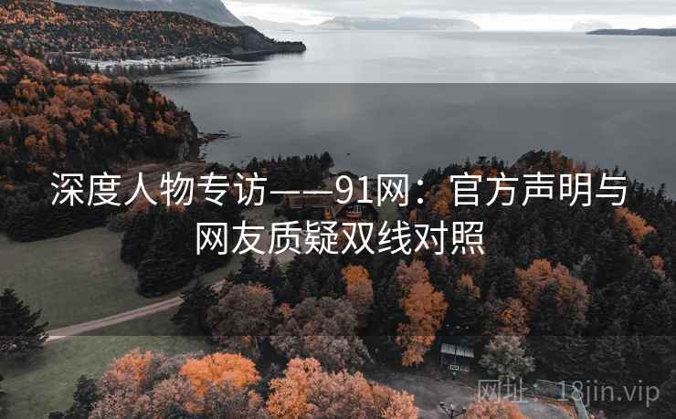 深度人物专访——91网：官方声明与网友质疑双线对照