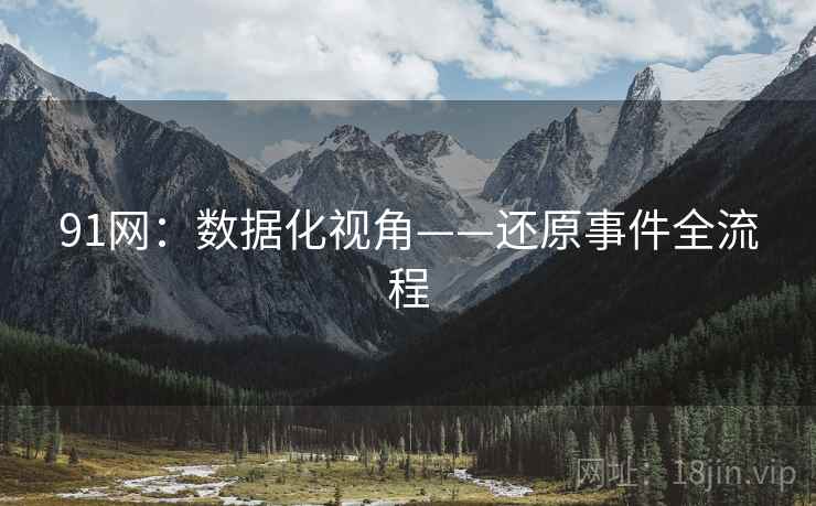 91网：数据化视角——还原事件全流程