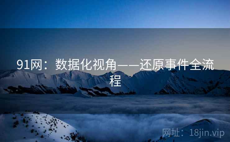 91网：数据化视角——还原事件全流程
