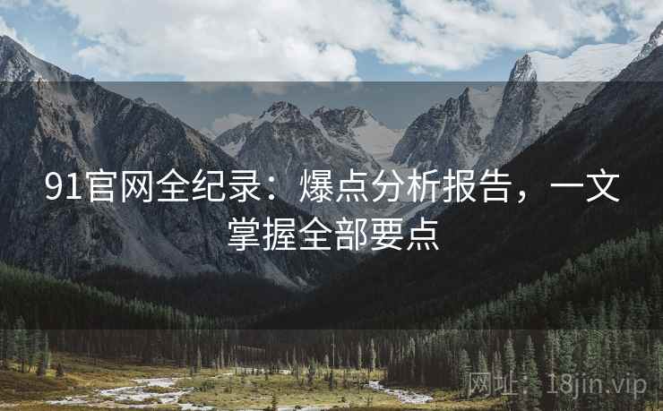 91官网全纪录：爆点分析报告，一文掌握全部要点