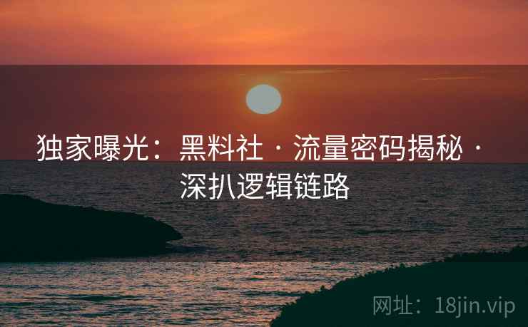 独家曝光：黑料社 · 流量密码揭秘 · 深扒逻辑链路