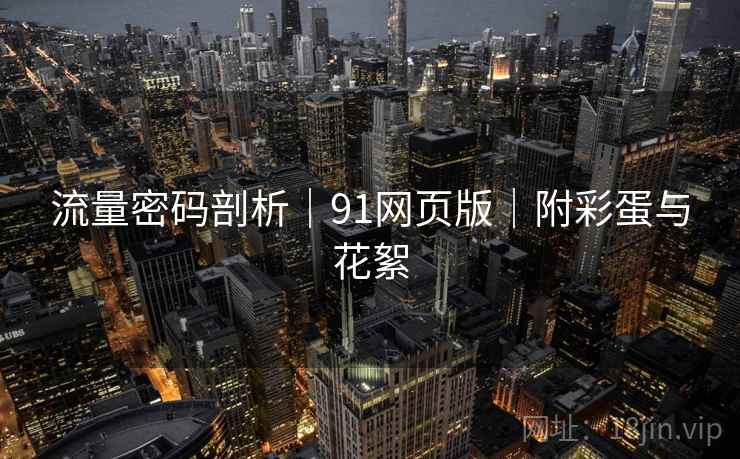 流量密码剖析｜91网页版｜附彩蛋与花絮