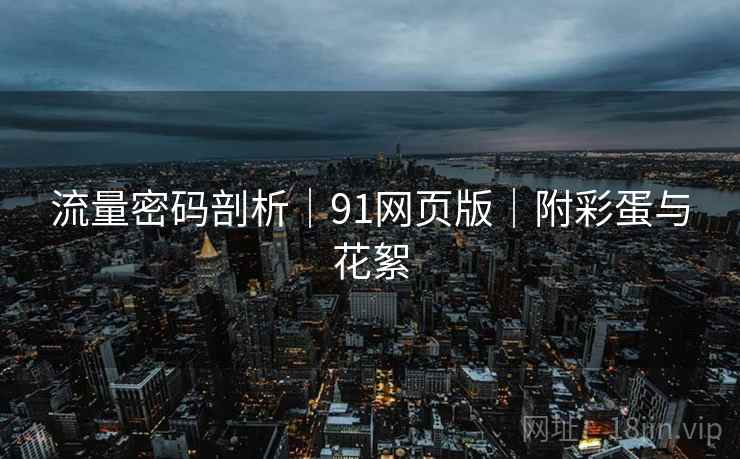 流量密码剖析｜91网页版｜附彩蛋与花絮