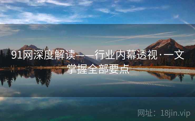 91网深度解读——行业内幕透视·一文掌握全部要点