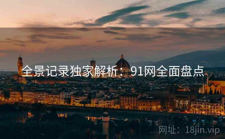 全景记录独家解析：91网全面盘点
