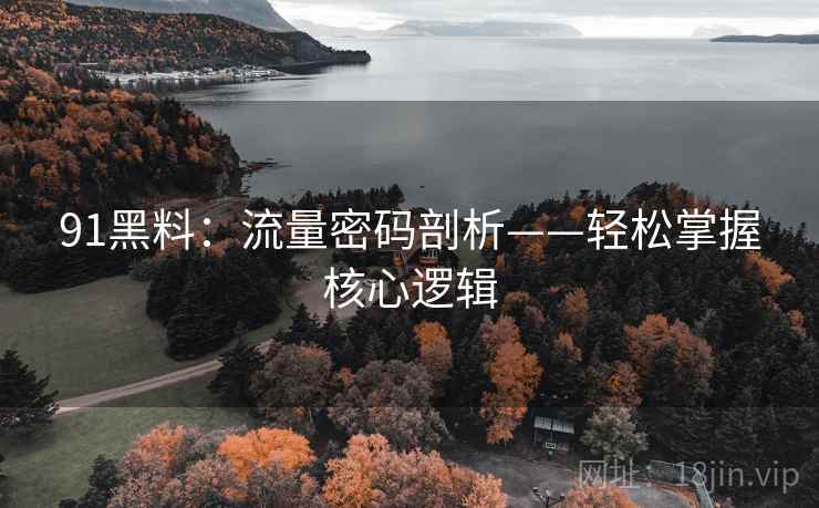 91黑料：流量密码剖析——轻松掌握核心逻辑  第1张