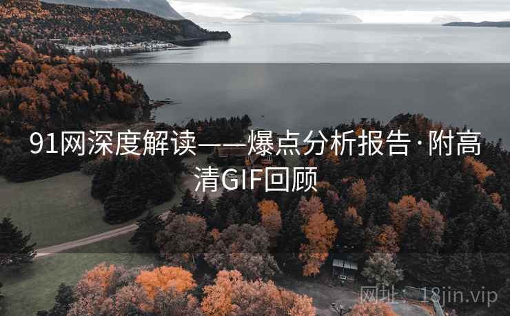 91网深度解读——爆点分析报告·附高清GIF回顾