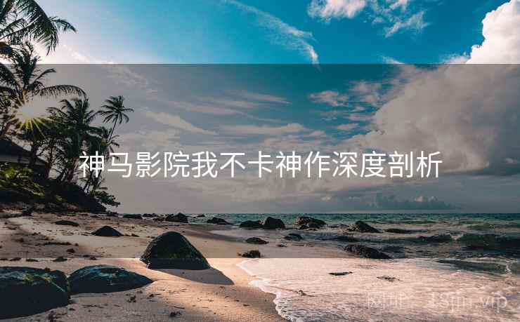 神马影院我不卡神作深度剖析