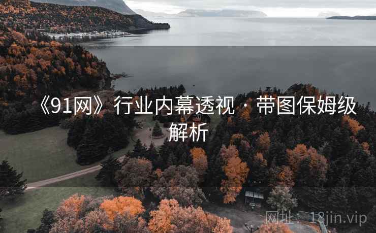 《91网》行业内幕透视 · 带图保姆级解析  第2张