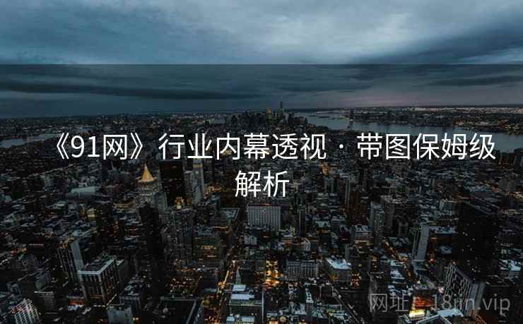 《91网》行业内幕透视 · 带图保姆级解析  第1张
