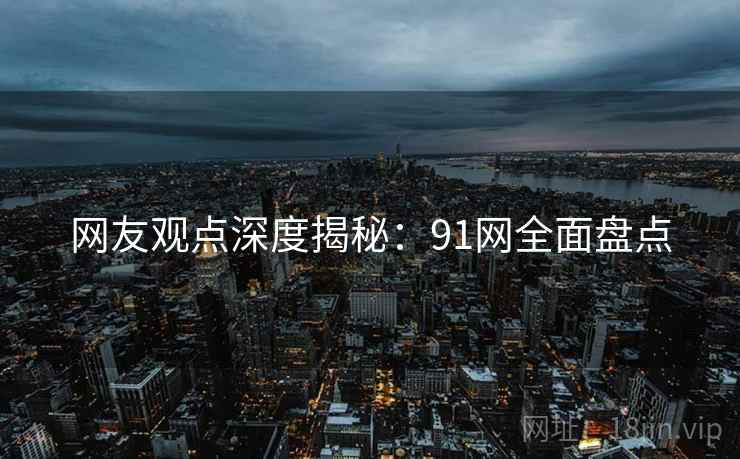 网友观点深度揭秘：91网全面盘点