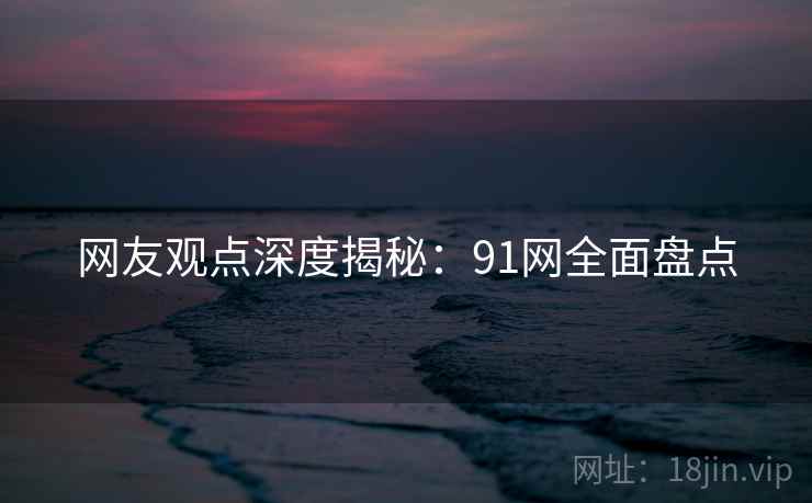 网友观点深度揭秘：91网全面盘点