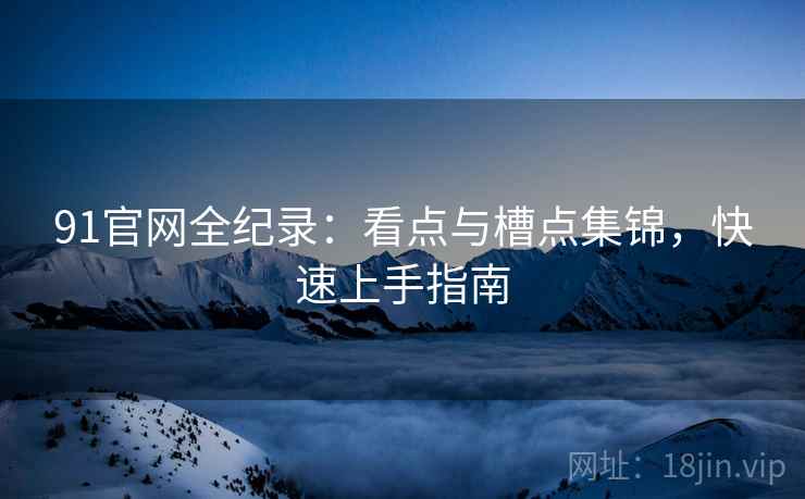 91官网全纪录：看点与槽点集锦，快速上手指南