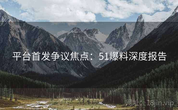 平台首发争议焦点：51爆料深度报告  第2张